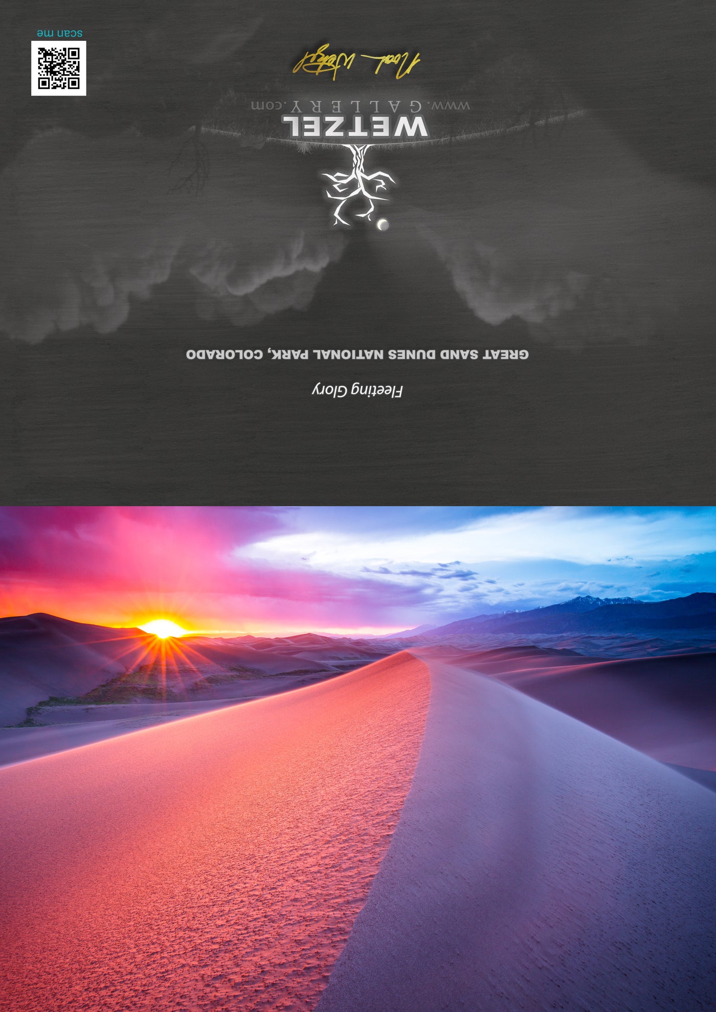 Greeting Card - Fleeting Glory