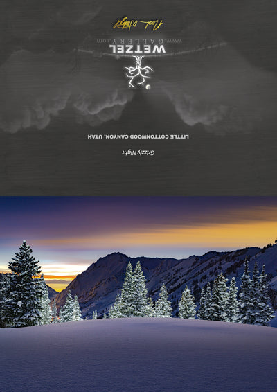 Greeting Card - Grizzly Night