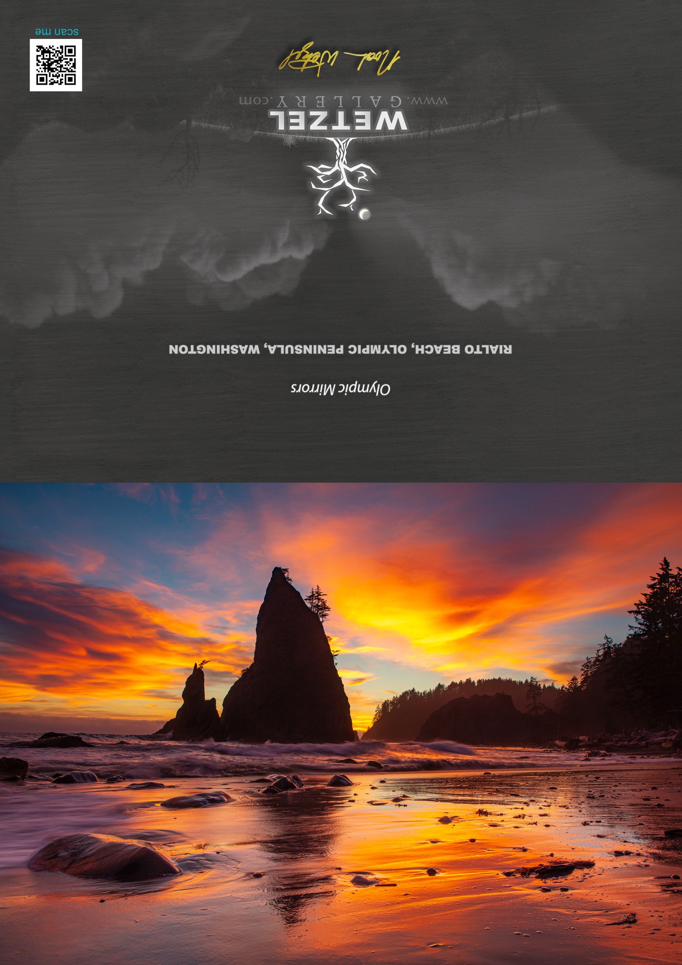 Greeting Cards Pacific Northwest 6-Pack