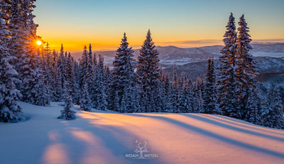 Alpenglow Giant