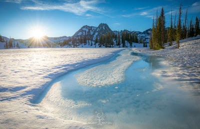 Alpine Oasis