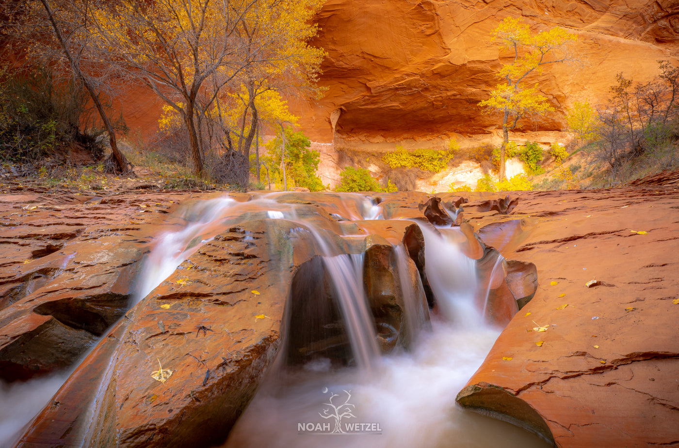 Autumn Desert Oasis