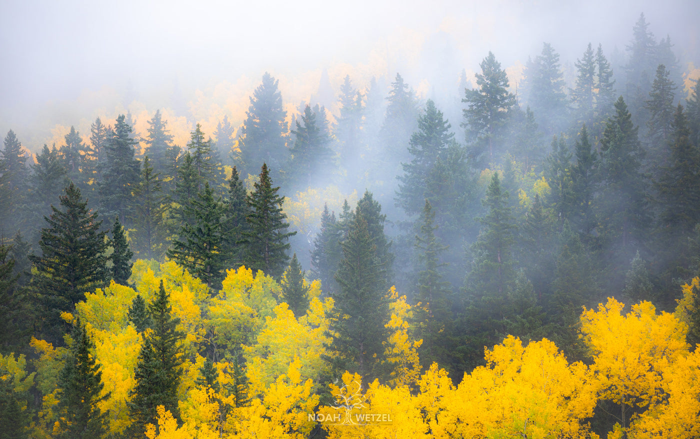 Autumn Undertones