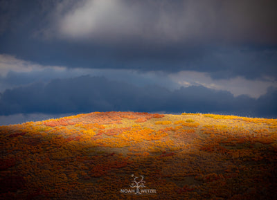 Autumn on the Ridge
