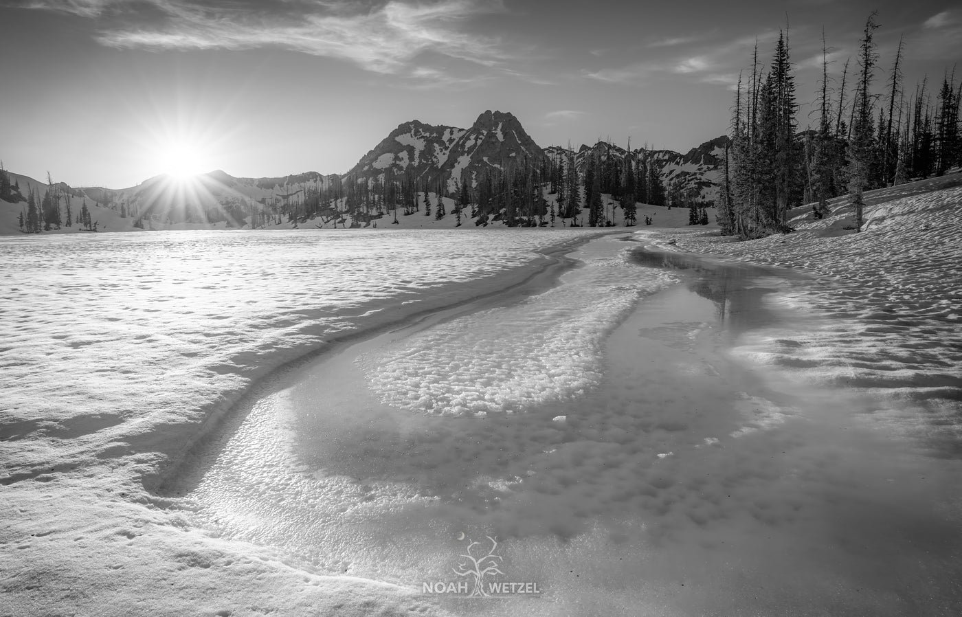 Alpine Oasis - BW
