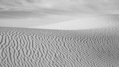 Textures of Wind - BW