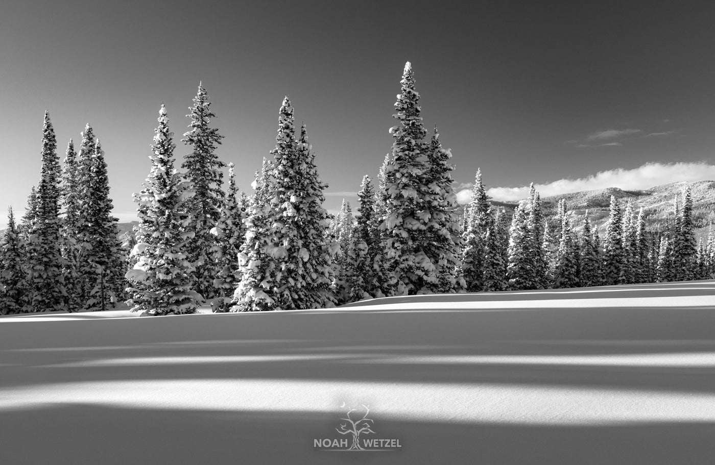Untouched Winter - BW