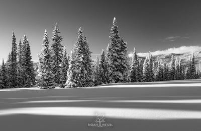 Untouched Winter - BW