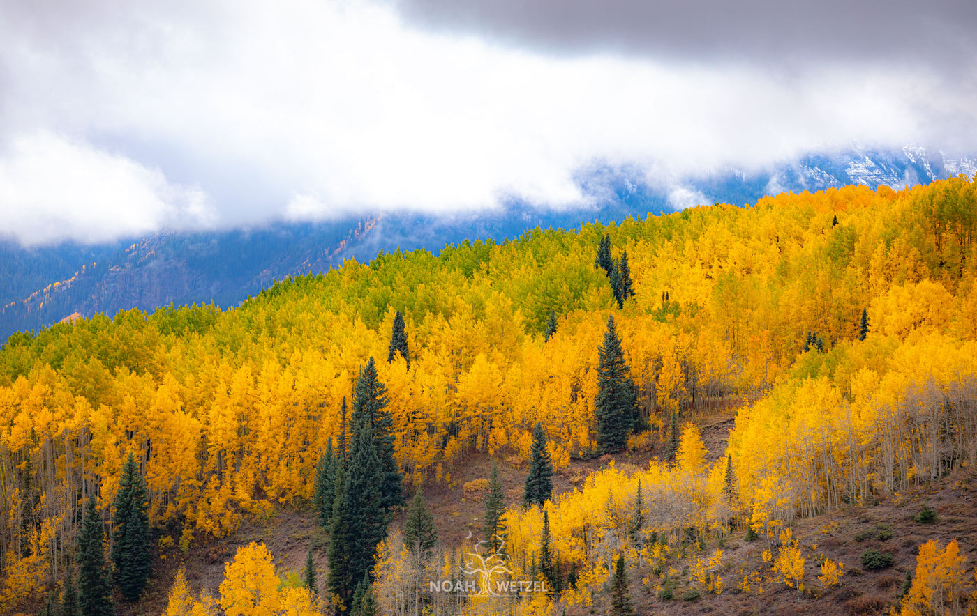 Balanced Autumn II