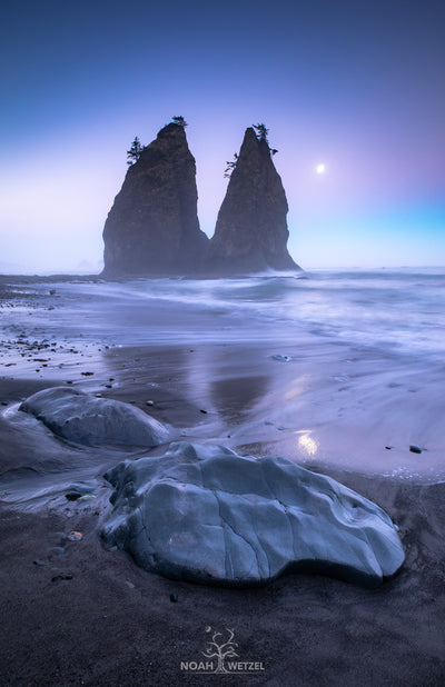 Beauty Without Witness