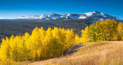 Colorado Autumn Mesa