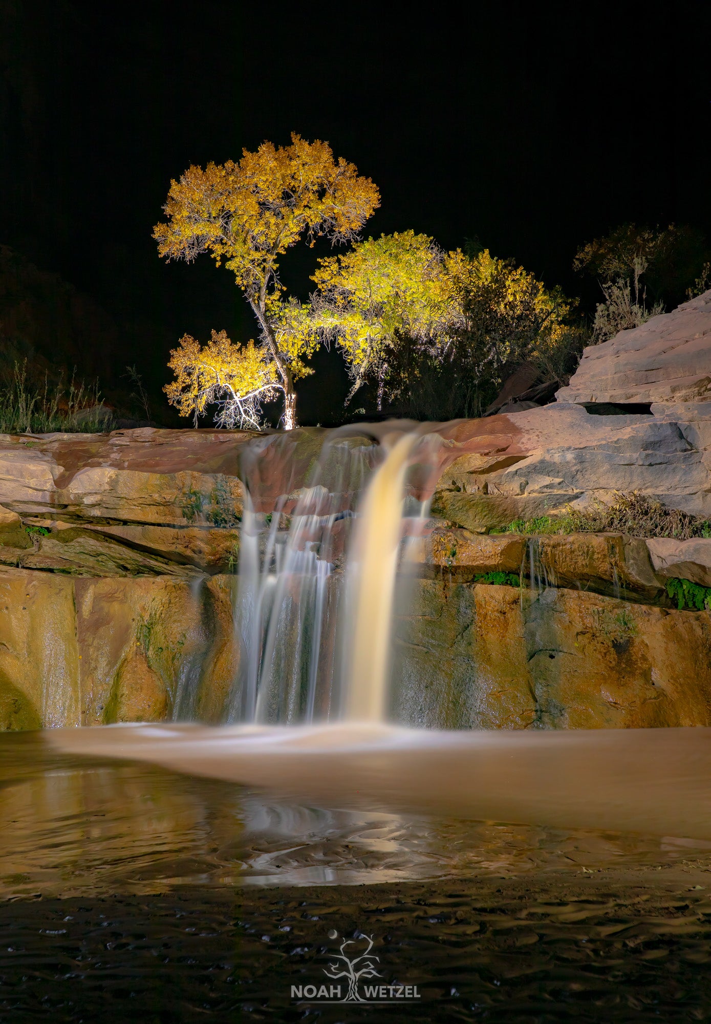 Cottonwood Midnight Oasis