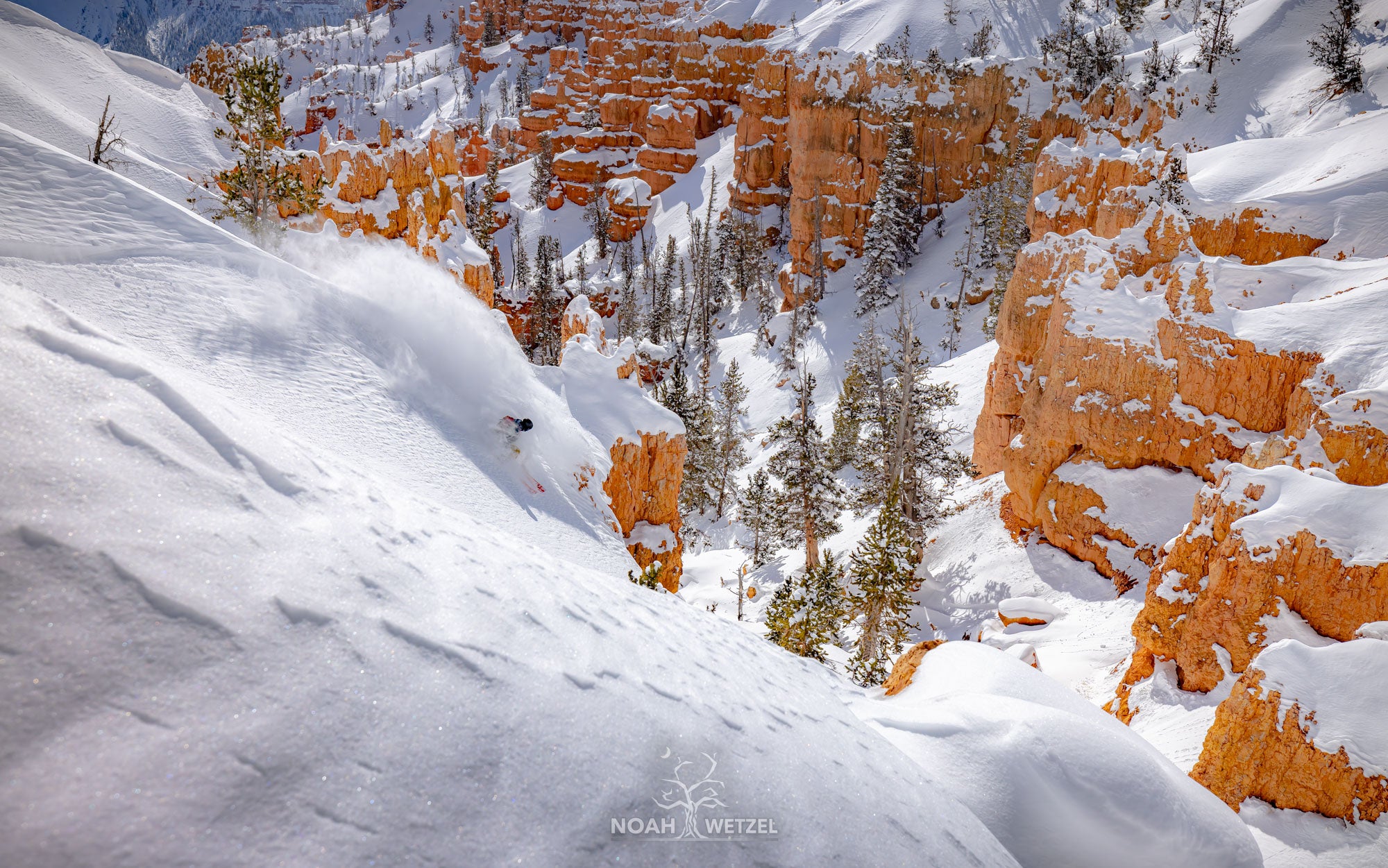 Desert Powder – The Wetzel Gallery