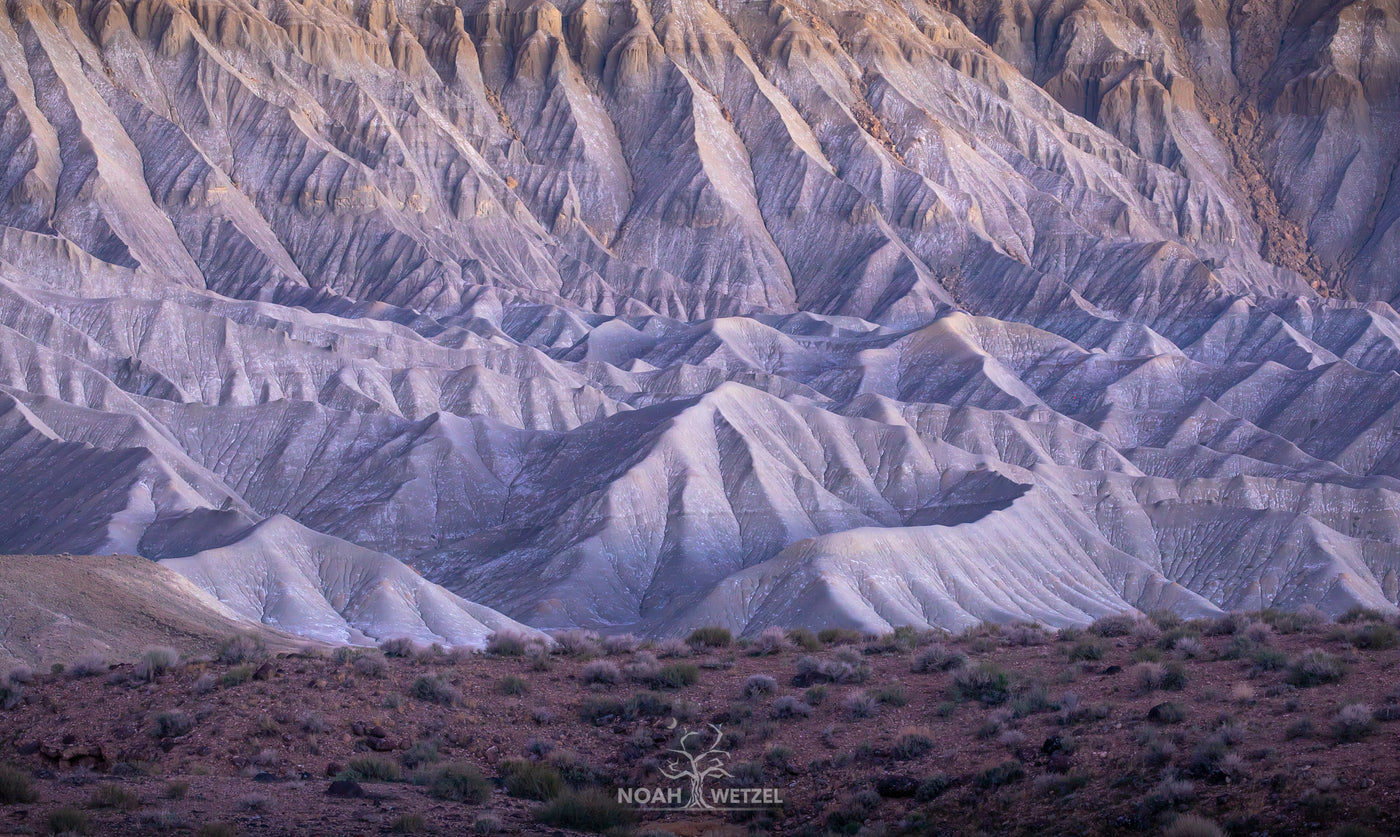 Desolate Twilight