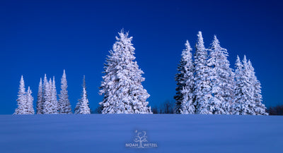 Frosted Alpenglow