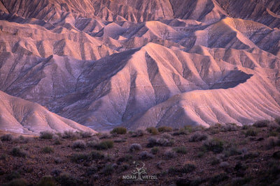 Glowing Desolation