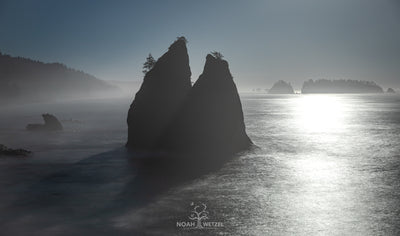 Guarding the Cove