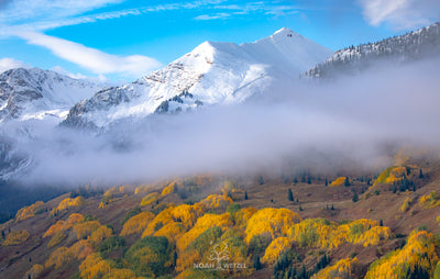 Layers of Autumn