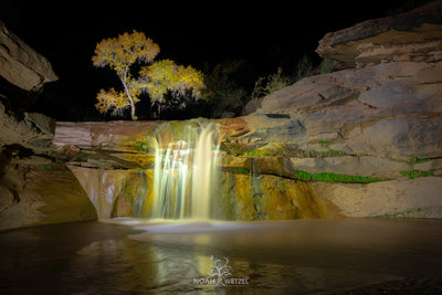 Midnight Desert Oasis