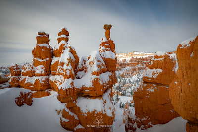 Moonrise Hoodoos