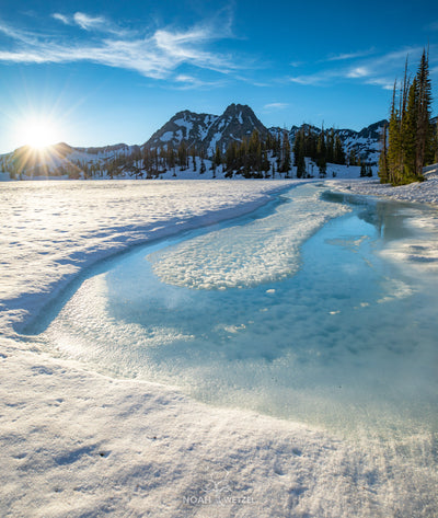 Pomer Hoit Alpine Thaw