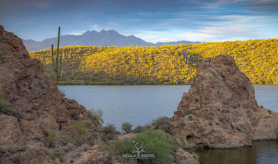 Saguaro Cove Sunset