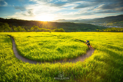 Singletrack Summer