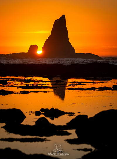 Through the Notch
