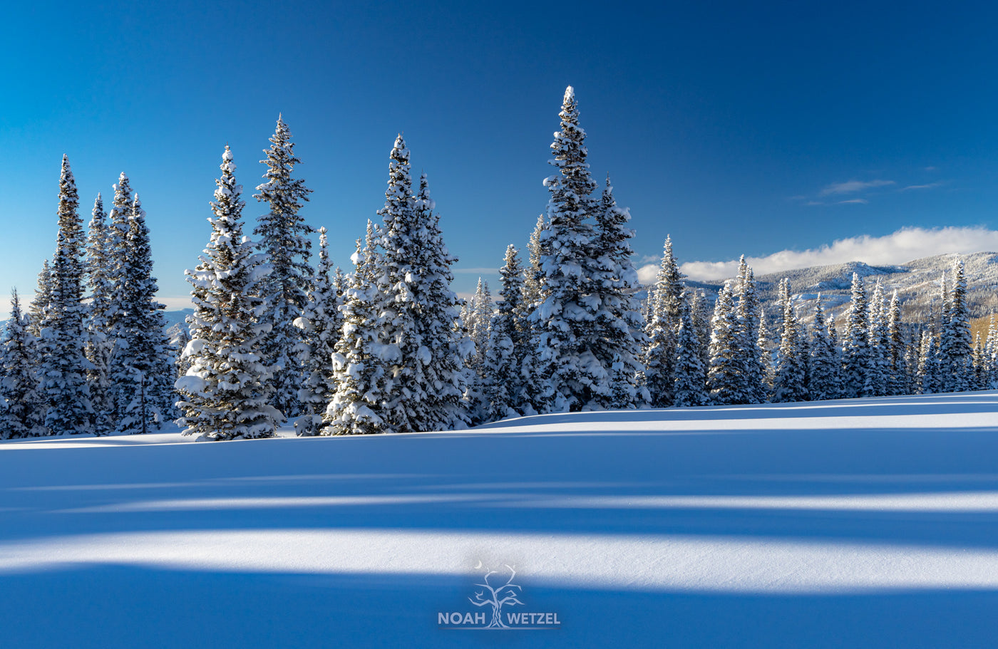 Untouched Winter