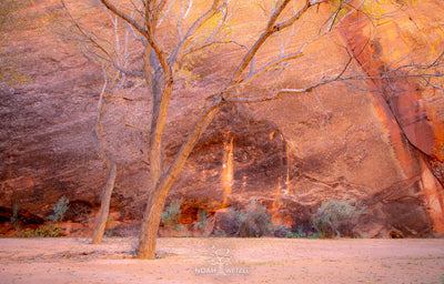 Veil of Sandstone