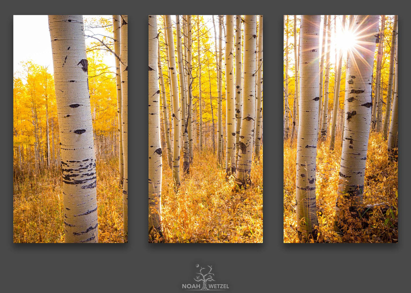 Aspen Autumn Sunrise - Triptych