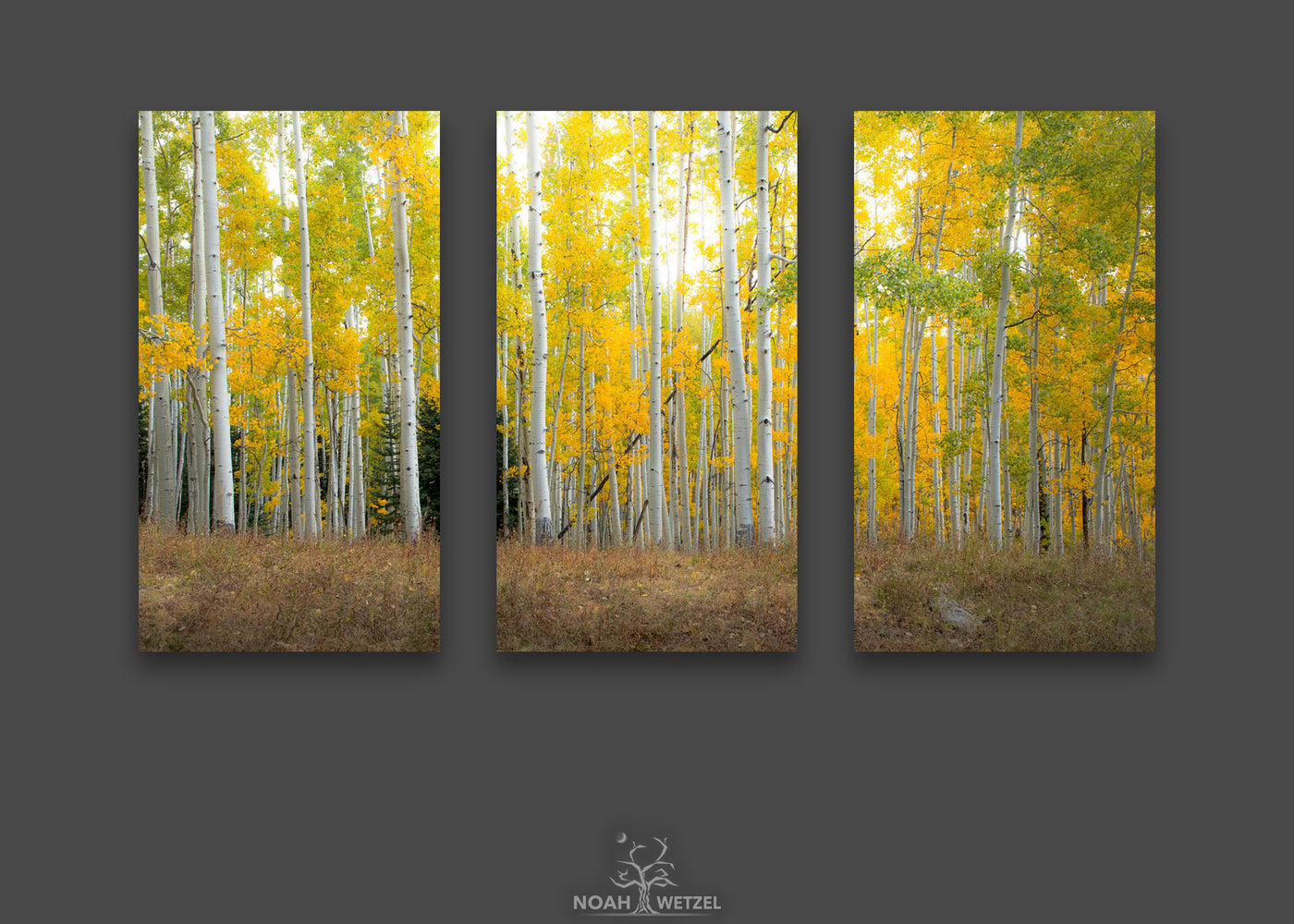 Autumn Clearing - Triptych