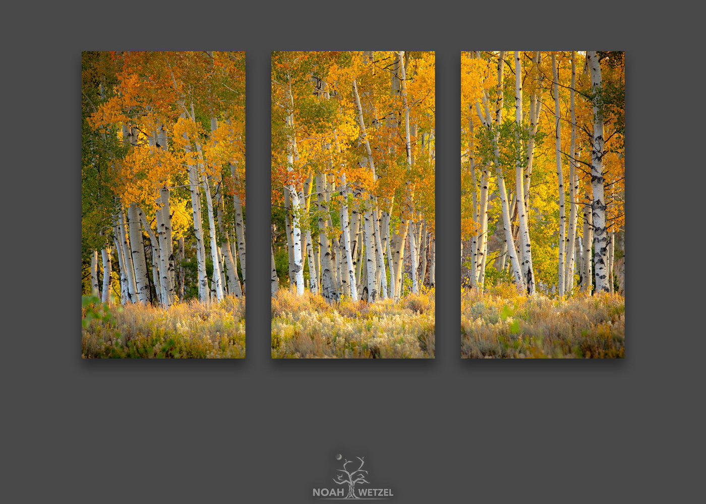 Autumn Cluster - Triptych