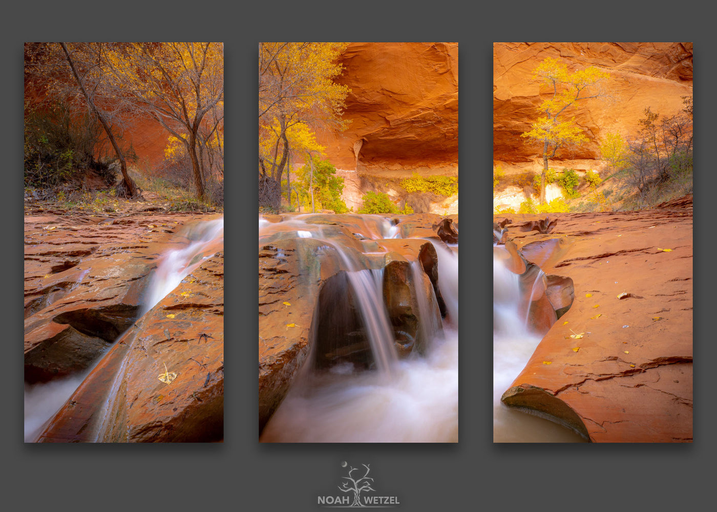 Autumn Desert Oasis - Triptych