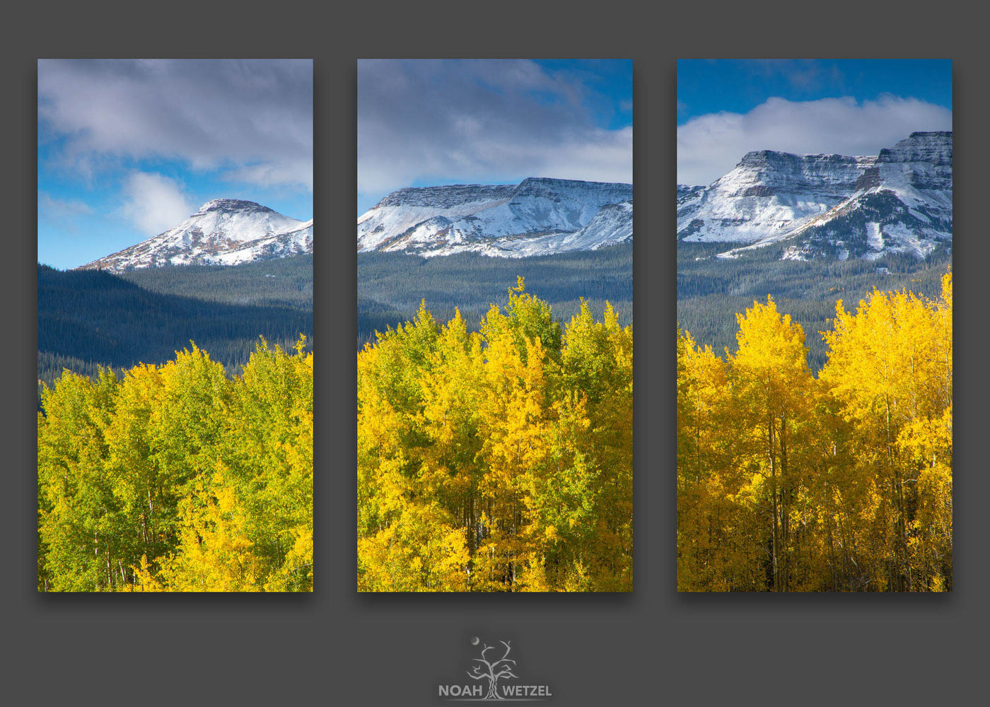 Autumn Flat Tops - Triptych