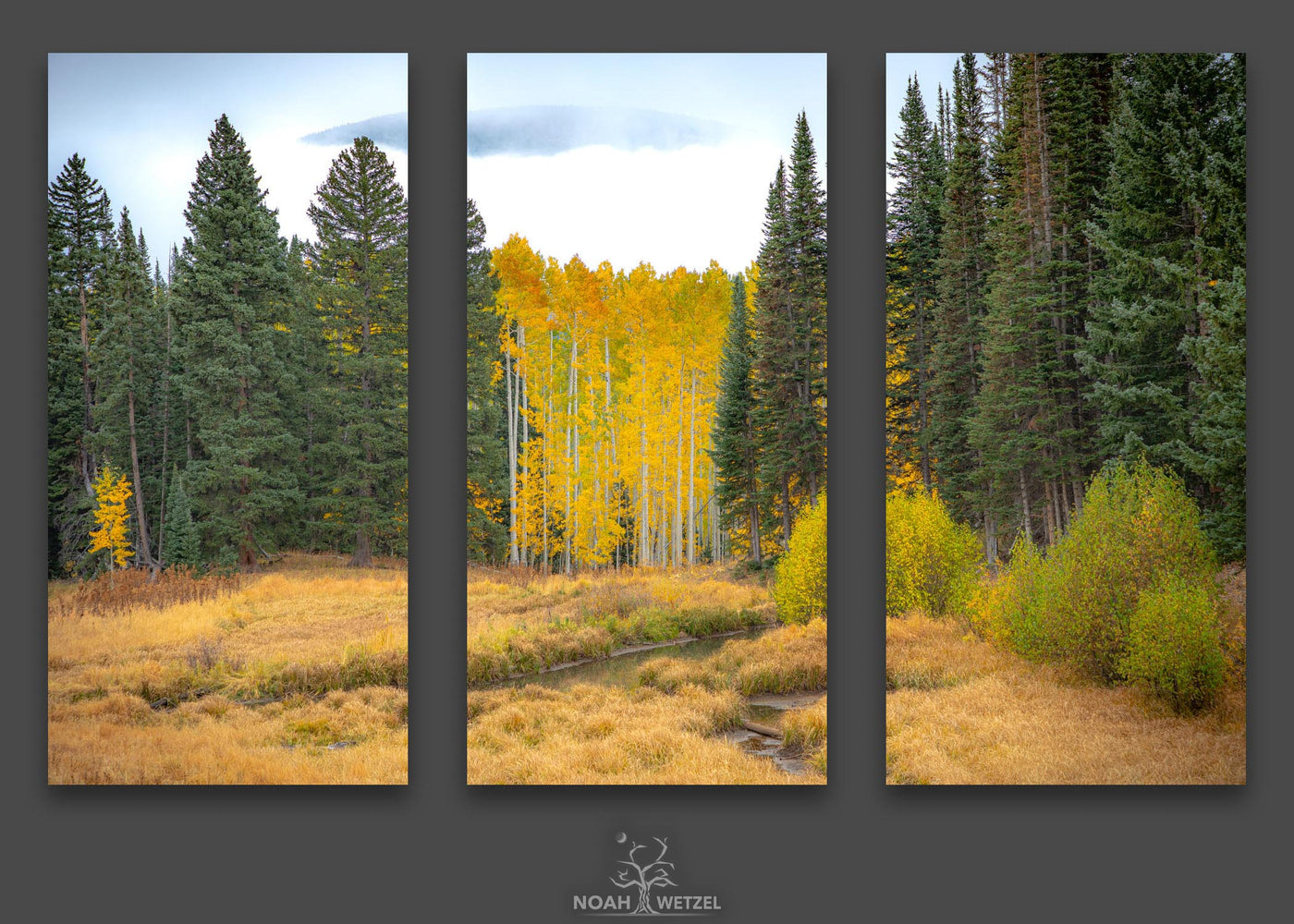 Autumn Forest Emergence - Triptych