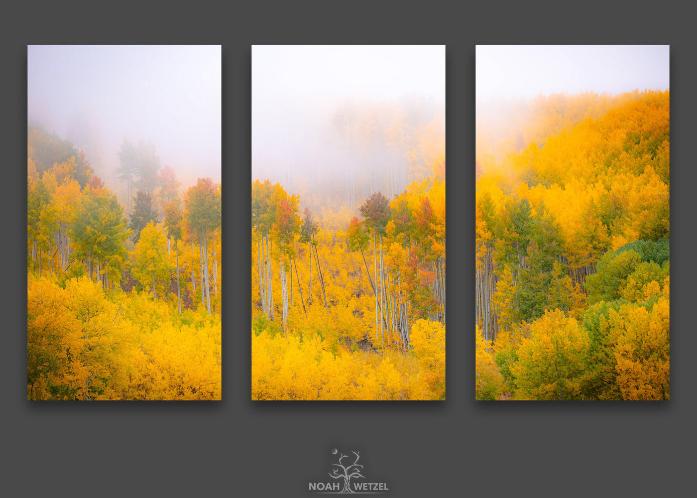 Autumn Paintbrush - Triptych