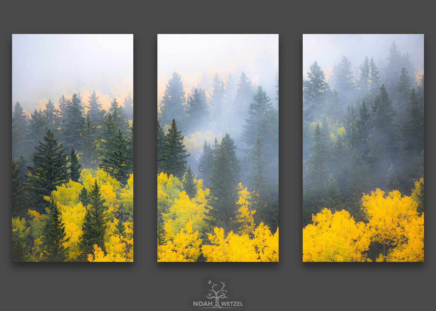 Autumn Undertones - Triptych