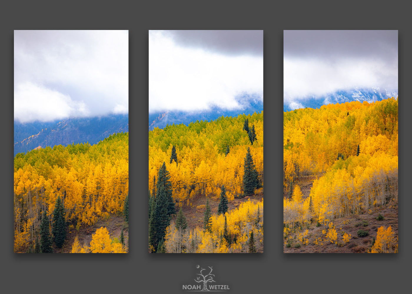 Balanced Autumn II - Triptych