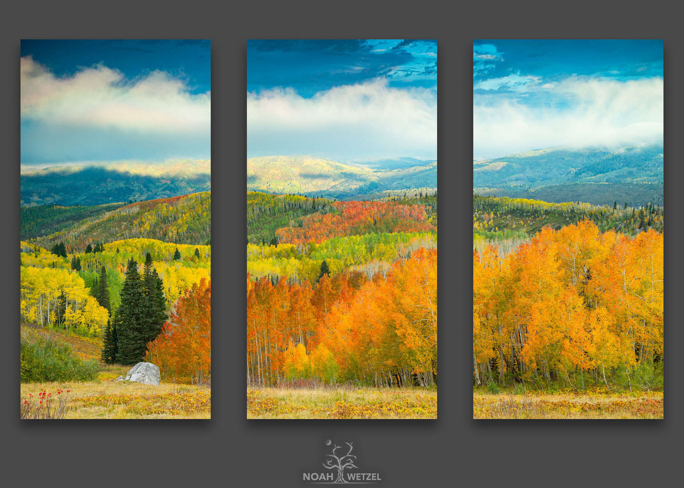 Buffalo Autumn Fog - Triptych