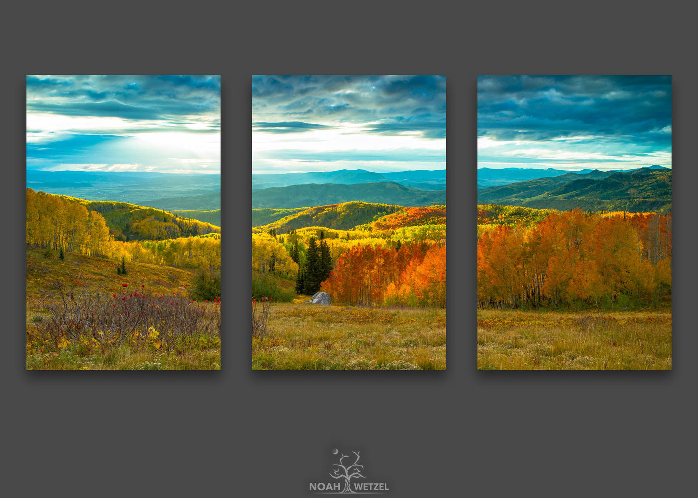 Buffalo Autumn Spotlight - Triptych