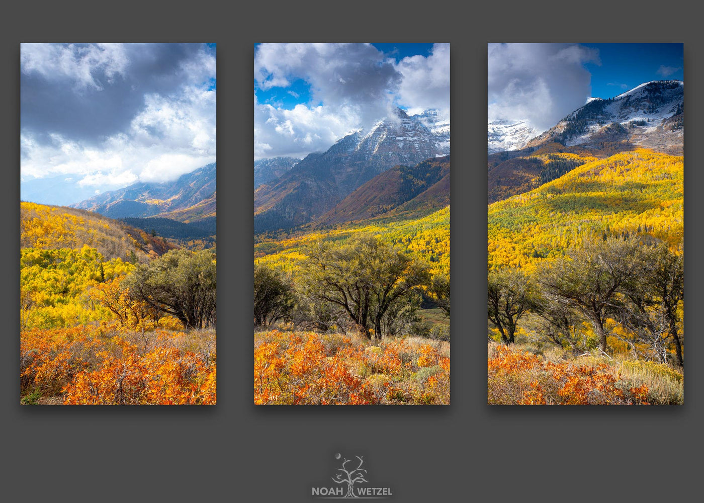 Color of Autumn - Triptych