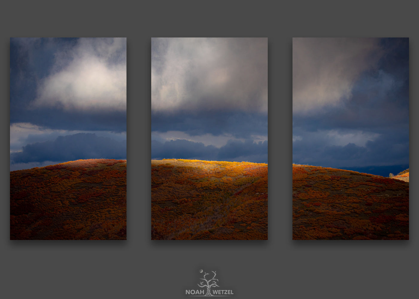 Dancing Autumn Light - Triptych