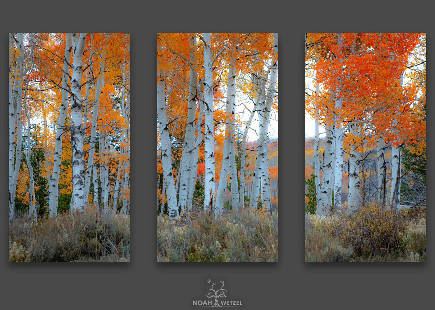 Delicate Autumn Twilight - Triptych