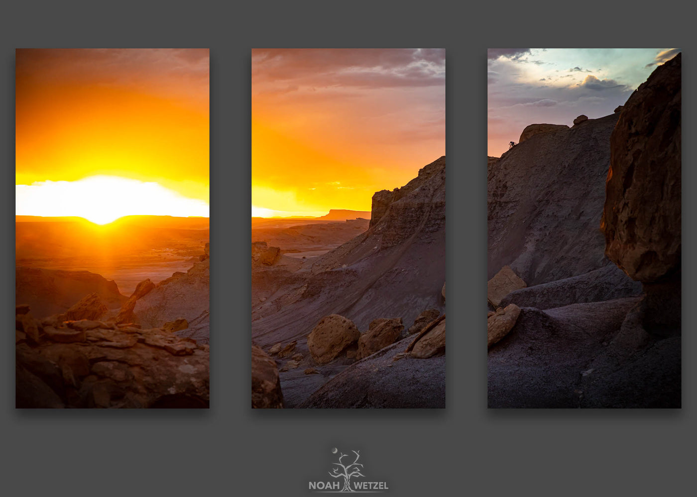 Desert Freeride Silhouette - Triptych