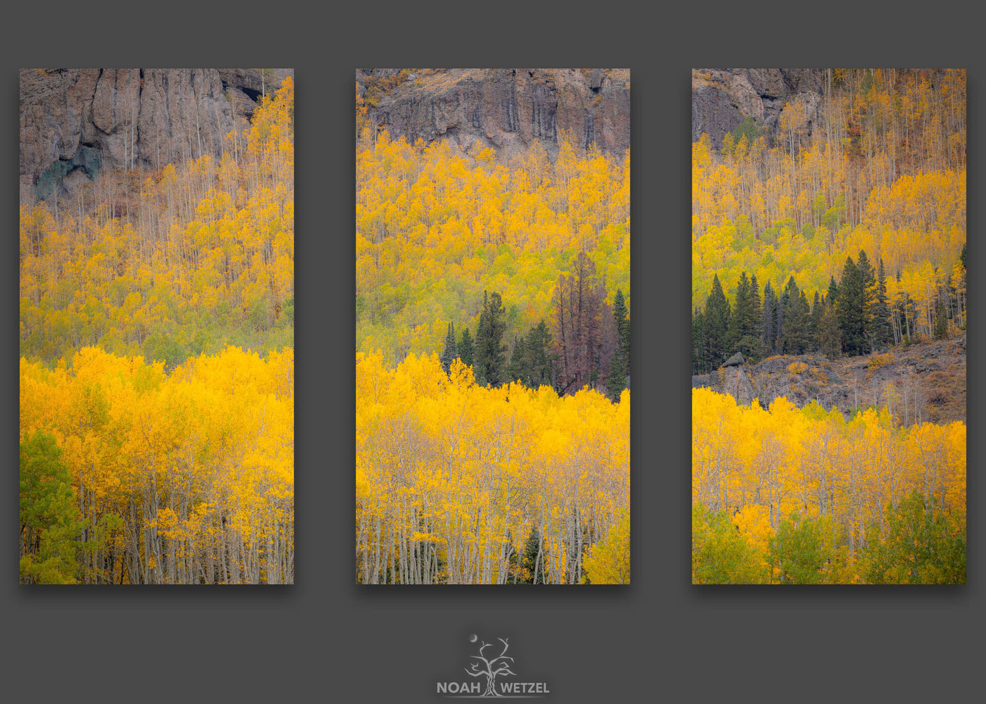 Dissipating Autumn - Triptych