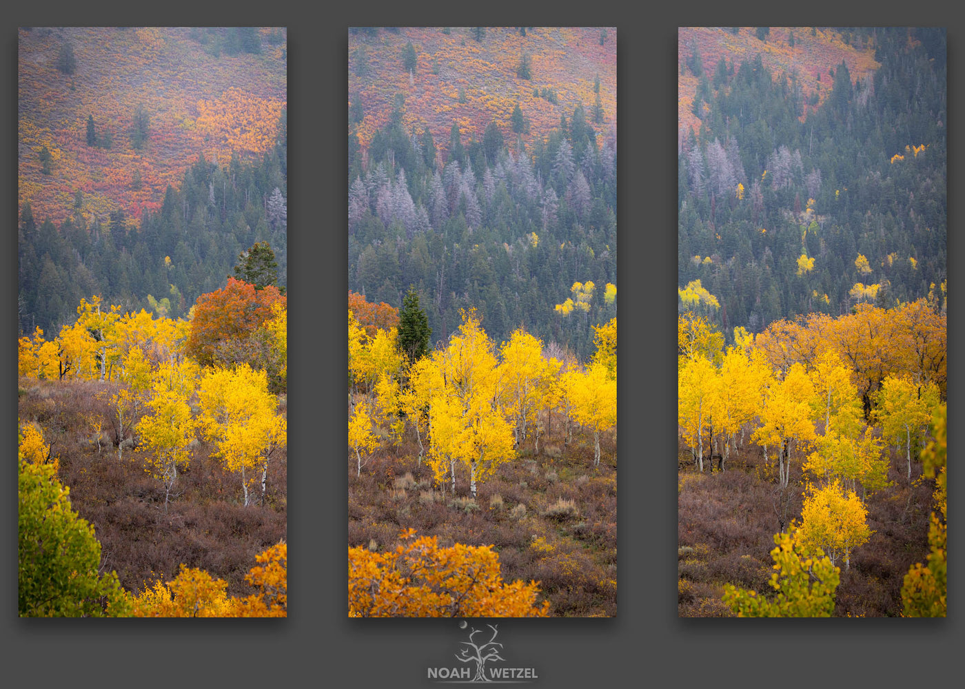 Diversity of Autumn - Triptych