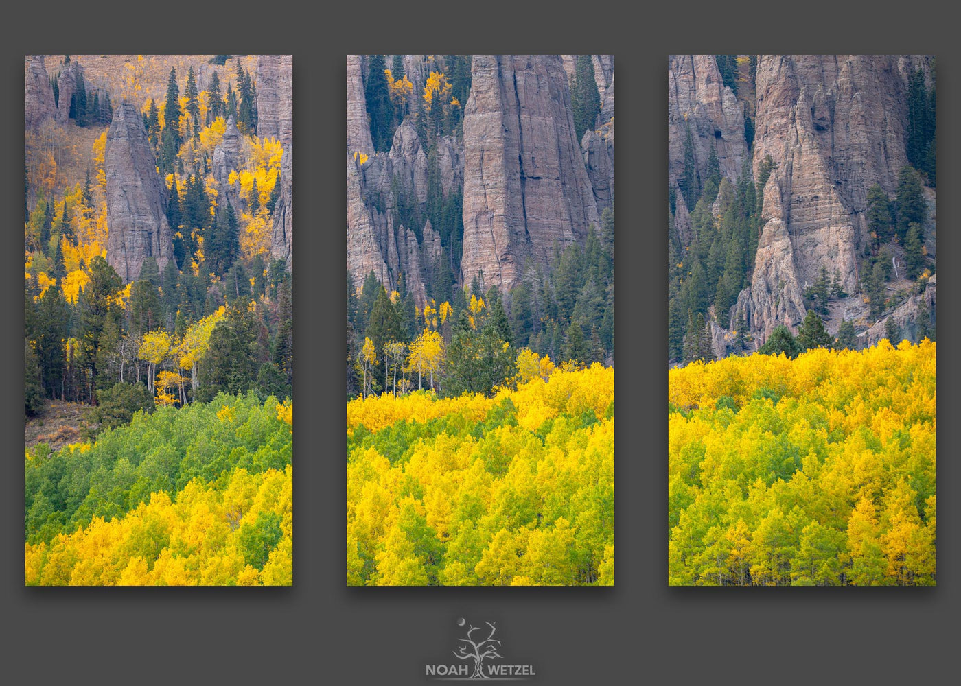 Forest Between Rock - Triptych