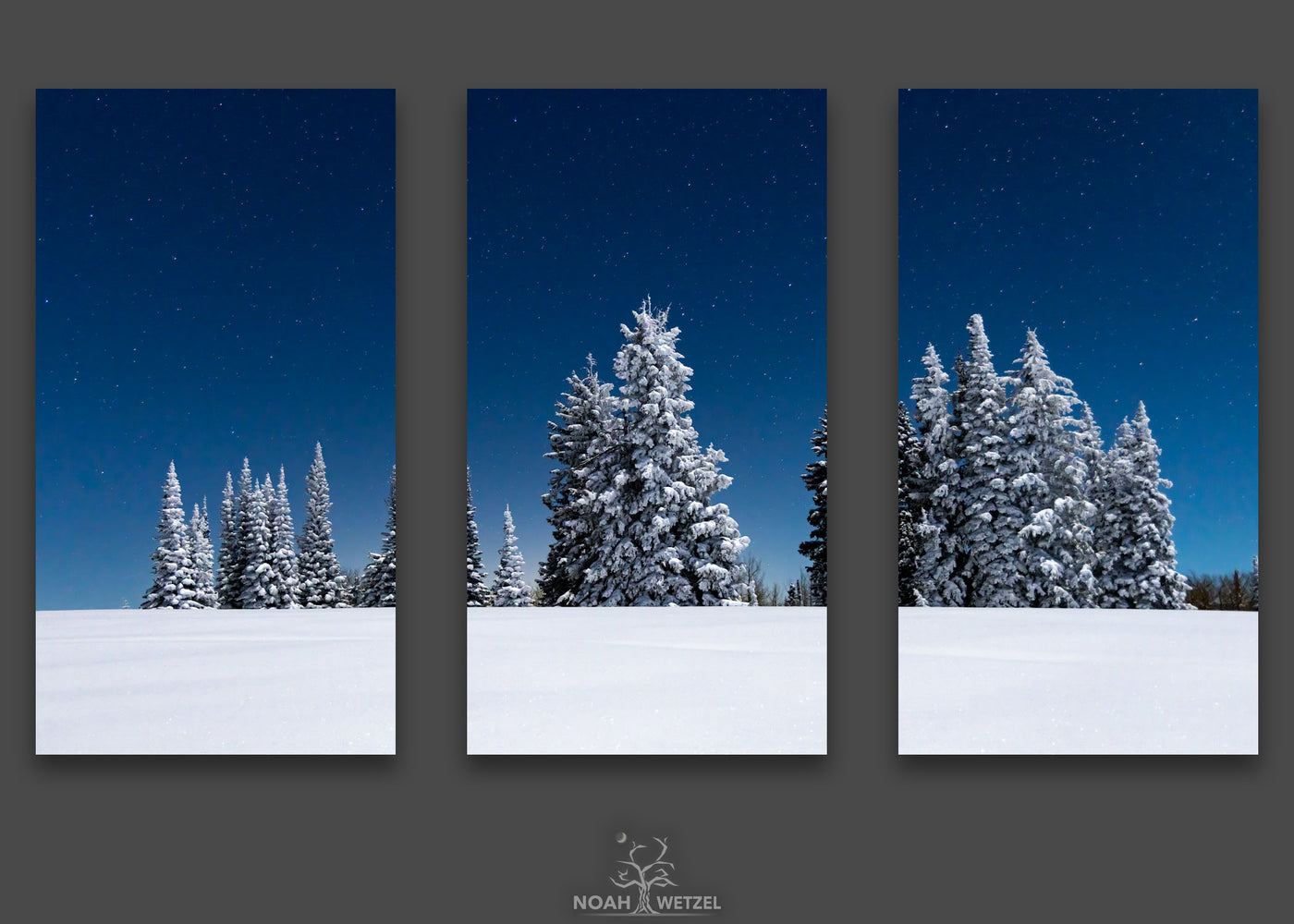 Frosted Moonlight - Triptych