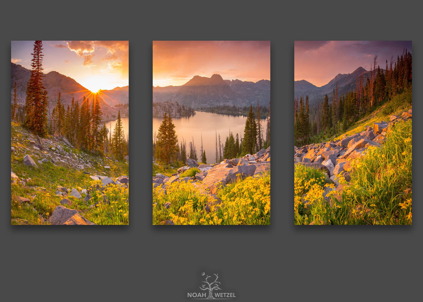 Gilpin Wildflower Summer - Triptych